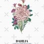 Dahlia Classic T-Shirt