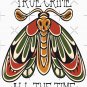 True Crime All The Time - Moth Classic T-Shirt