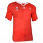2019 Welsh World Cup Home S-5XL Welsh Word Cup