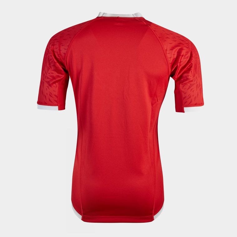 2020-2021 Lions home S-5XL