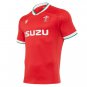 2020-2021 Wales home S-5XL