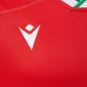 2020-2021 Wales home S-5XL
