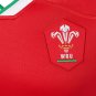 2020-2021 Wales home S-5XL