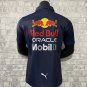 2022 Red Bull T-shirt s-5XL_CM_2
