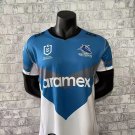 2022 Shark