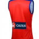 2024 Brisbane Lions away s one 3xl