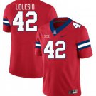 Arizona Wildcats Dominic Lolesio #42  Jersey 2026