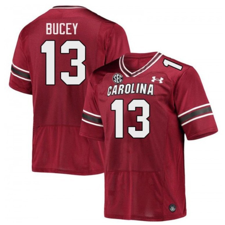 South Carolina Gamecocks David Bucey #13 2026  Jersey