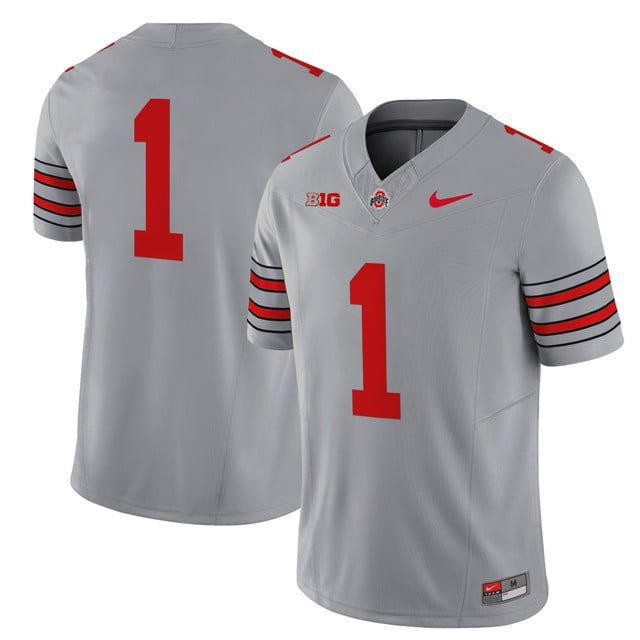 Team Ohio State Buckeyes  #1 Heritage Stripe 2026-2026 Vapor Limited Stitched Gray