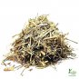 Earth Best Apamarg Panchang - Latjeera - Latjira - Chirchita (200 Grams)