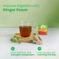 Organic India Tulsi Ginger 50 Infusion Bag