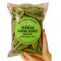 1000 Guava Leaves, Fresh Green Dried, Psidium Guajava Leaf, Best Natural Herbal Guava Tea