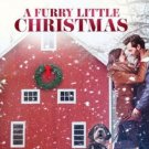 A FURY LITTLE CHRISTMAS DVD 2021 UPTV MOVIE - Jonathan Stoddard