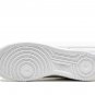 2025 & 2026 Force 1 GS Light Bone