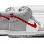 Dunk Hi SE (GS) Athletic Club