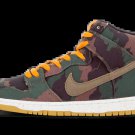 Dunk High Premium SB 510