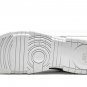 DUNK LO DISRUPT MNS WMNS White Silver