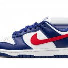DUNK LO MNS WMNS USA