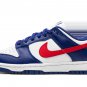 DUNK LO MNS WMNS USA