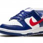 DUNK LO MNS WMNS USA