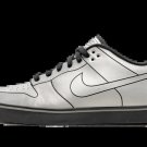 Dunk SE 6.0 Delorean (2010)