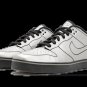 Dunk SE 6.0 Delorean (2010)