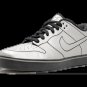 Dunk SE 6.0 Delorean (2010)