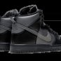 SB Dunk High FPAR