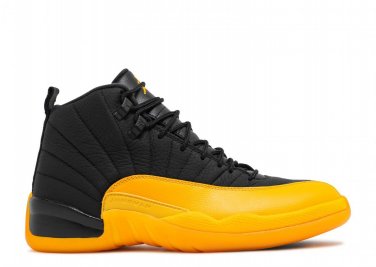 2026 Air  12 Retro University Gold