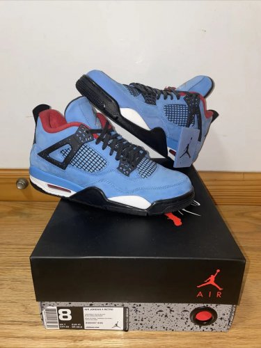 Air  4 Cactus