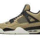 Air  4 Retro Mushroom
