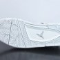 Air  4 Retro Pinnacle Snakeskin  819139-030