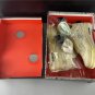 Air  4 Retro Sail  muslin Sneaker