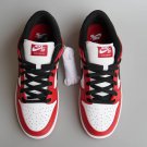 SB Dunk Low J-Pack Chicago