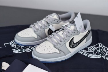 Air  1 Retro Low Dior