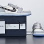 Air  1 Retro Low Dior