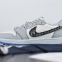 Air  1 Retro Low Dior