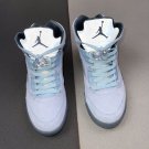 Air  5 Retro Blue Bird
