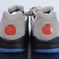 Air  5 Retro Low PSG