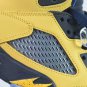 Air  5 Retro Michigan