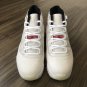 Air  11 Retro Platinum Tint