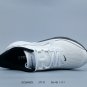 one hundred and fiftyCompany level  Air Zoom Pegasus 42 Pegasus 42nd generation Nik_3933
