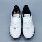 one hundred and fiftyCompany level  Air Zoom Pegasus 42 Pegasus 42nd generation Nik_3933