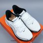 one hundred and fiftyCompany level  Air Zoom Pegasus 42 Pegasus 42nd generation Nik_3933