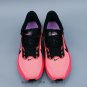 one hundred and sixtyCompany level  Air Zoom Pegasus 42 Pegasus 42nd generation Nik