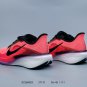 one hundred and sixtyCompany level  Air Zoom Pegasus 42 Pegasus 42nd generation Nik