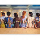 Pink Floyd Back Art Nudity Girls 2.5" x 3.5 " Fridge Flat Magnet