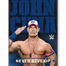 WWE, John Cena 2.5" x 3.5" Fridge Flat Magnet #94121