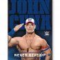 WWE, John Cena 2.5" x 3.5" Fridge Flat Magnet #94121