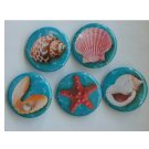 Lot of 5 1.25" Pinback Buttons Badges Seashells (Approx. 32mm)